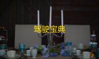 驾驶宝典